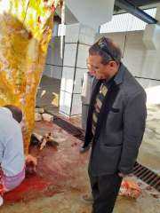 إعدام رأس ماشية تزن 400 كيلو مصابة بمرض السل خلال حملة رقابية فى ملوى بالمنيا