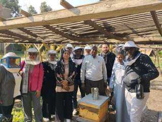 ”الزراعة” تنفذ برامج تدريبية على إنشاء مناحل العسل في المحافظات