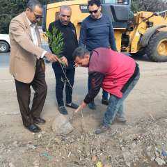 متابعة اعمال رفع كفاءة النظافة بمدينة المنصورة والمنطقة المركزية وتم زراعة 100 شجرة مثمرة