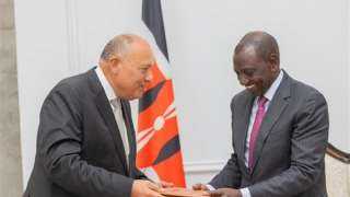 وزير الخارجية يسلم رسالة من الرئيس السيسي إلى نظيره الكيني
