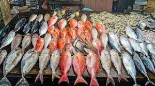 هبوط  أسعار الأسماك بسوق العبور اليوم