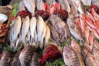 تراجع أسعار الأسماك بسوق العبور اليوم