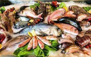 نرصد أسعار الأسماك بسوق العبور اليوم