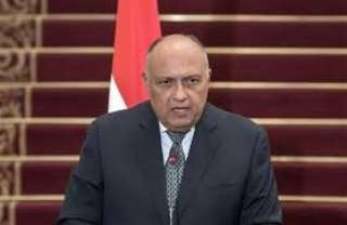 وزير الخارجية: الدول العربية تعمل على الدفع لإقامة دولة فلسطينية مستقلة