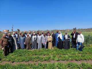 البحوث الزراعية: 823 باحثا يشاركون في الفرق الإرشادية الريفية خلال مارس في 23 محافظة