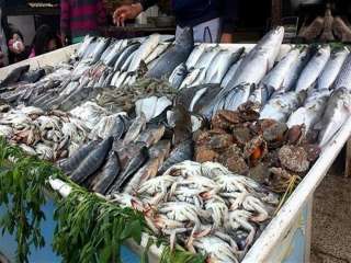 ننشر أسعار الأسماك فى سوق العبور اليوم السبت