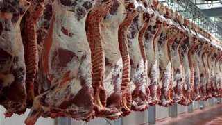 ننشر أسعار اللحوم في الأسواق اليوم السبت