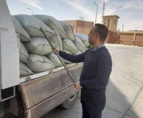 محافظ المنيا يعلن بدء موسم توريد القمح لعام 2024 لـ42 موقعًا تخزينيًا