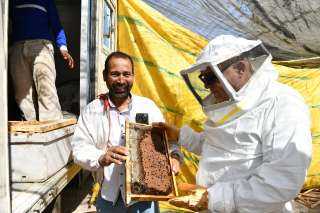 ضمن مشروعات الأمن الغذائي .. محافظ قنا يشهد إنتاج أول قطفة عسل نحل شمر