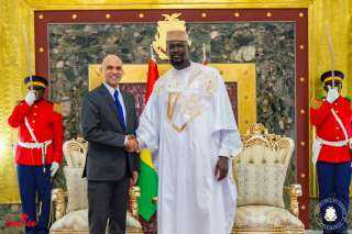 السفير المصري في كوناكري يقدم أوراق اعتماده لرئيس جمهورية غينيا