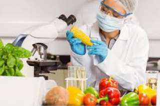 24 أبريل .. التصديري للصناعات الغذائية ينظم ندوة عن تطبيقات سلامة الغذاء لتقليل الفاقد