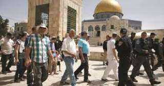 مرصد الأزهر: المساس بالمسجد الأقصى يفجر الأوضاع في الأراضي الفلسطينية