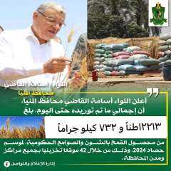 توريد 12213 طناً من محصول القمح بالشون والصوامع الحكومية بمراكز المنيا