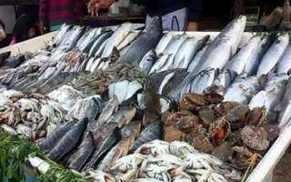 أسعار الأسماك بسوق العبور اليوم الاربعاء