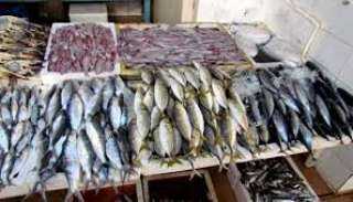 شعبة الأسماك بالغرف التجارية تعلن انخفاض الأسعار 30 %