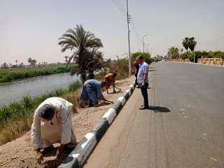 زراعة 100 شجرة على طريق مصر أسوان الزراعي بمركز ومدينة ديرمواس