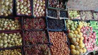 أسعار الفاكهة مساء اليوم، البرقوق يسجل 110 جنيهات في سوق العبور