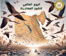 وزيرة البيئة تعلن مشاركة مصر في الاحتفال باليوم العالمي للطيور المهاجرة ٢٠٢٤