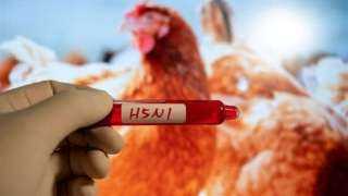 العثور على فيروس إنفلونزا الطيور في 10 مدن أمريكية