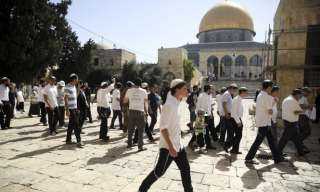 مستوطنون يقتحمون باحات المسجد الأقصى بحماية قوات الاحتلال