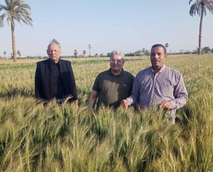 محافظ أسيوط يؤكد أهمية المرور على الزراعات بالقرى والنجوع