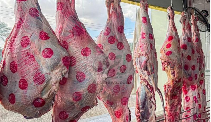 أسعار اللحوم الحمراء في محافظة الغربية اليوم