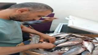 بالتعاون مع الجهات المعنية .. ضبط 14 طن من اللحوم والدواجن غير الصالحة للاستهلاك الآدمي في حملات بالمنوفية
