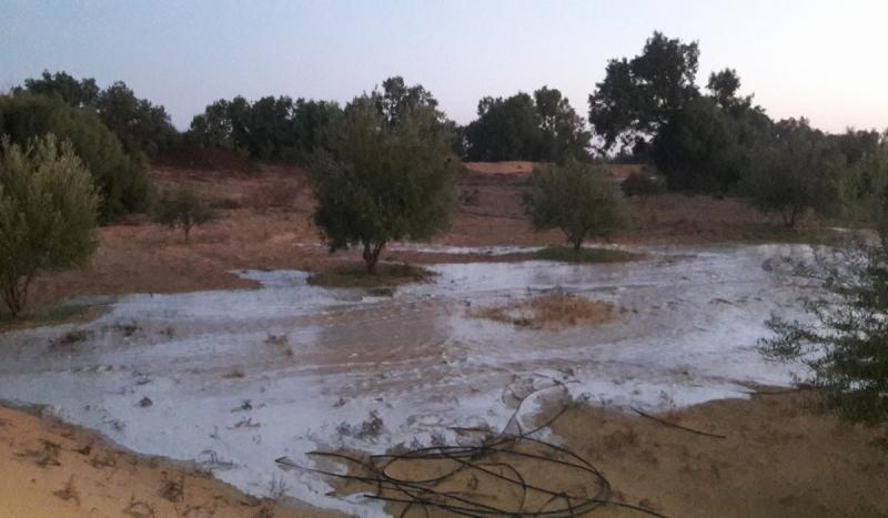 سيول محدودة تجري بأودية وسط سيناء بعد أمطار غزيرة دون تسجيل أضرار